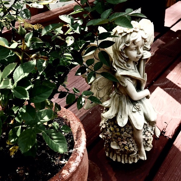 Meet your Posher, Leeanne - Picture 1 of 1